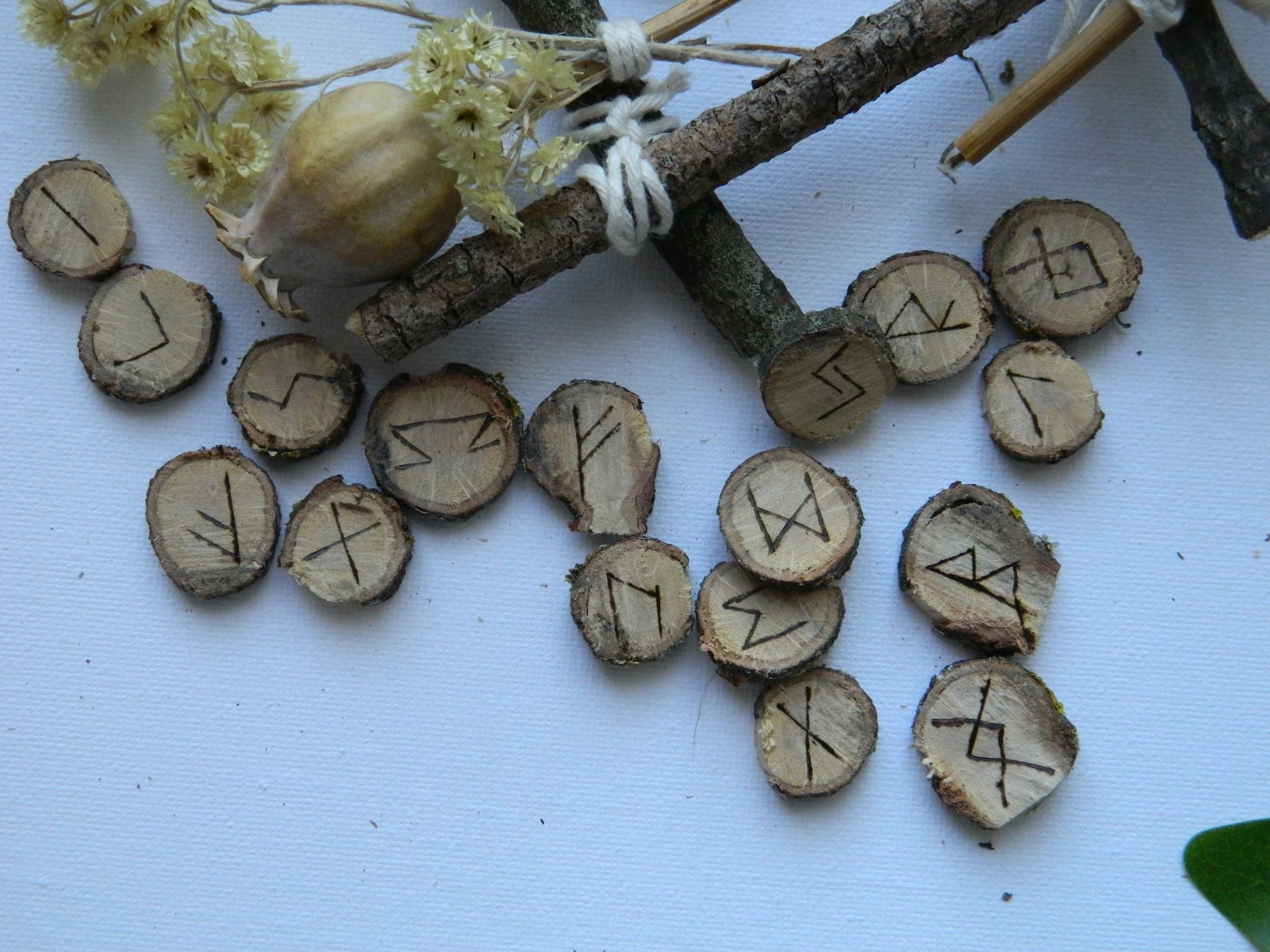 Gros plan sur un jeu de 24 runes en chêne gravées à la main selon le Futhark ancien, présenté dans une composition naturelle.